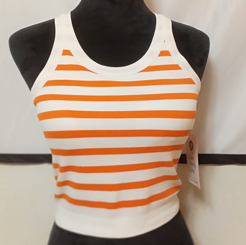 Seamless Padded Crop Top